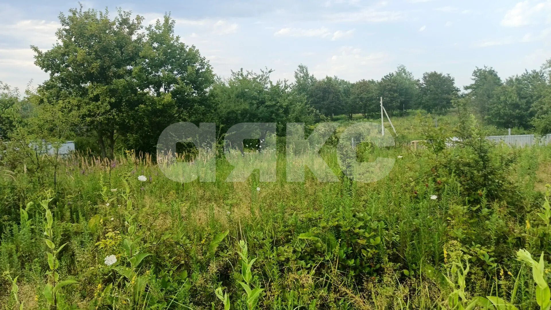 Фото №12: Участок садоводство <span class="whitespace-nowrap">6 сот.</span> - Надежда