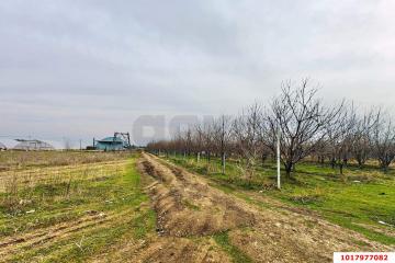 Фото №1: Коммерческая земля <span class="whitespace-nowrap">287 сот.</span> - Тахтамукай, ул. Чапаева, 24
