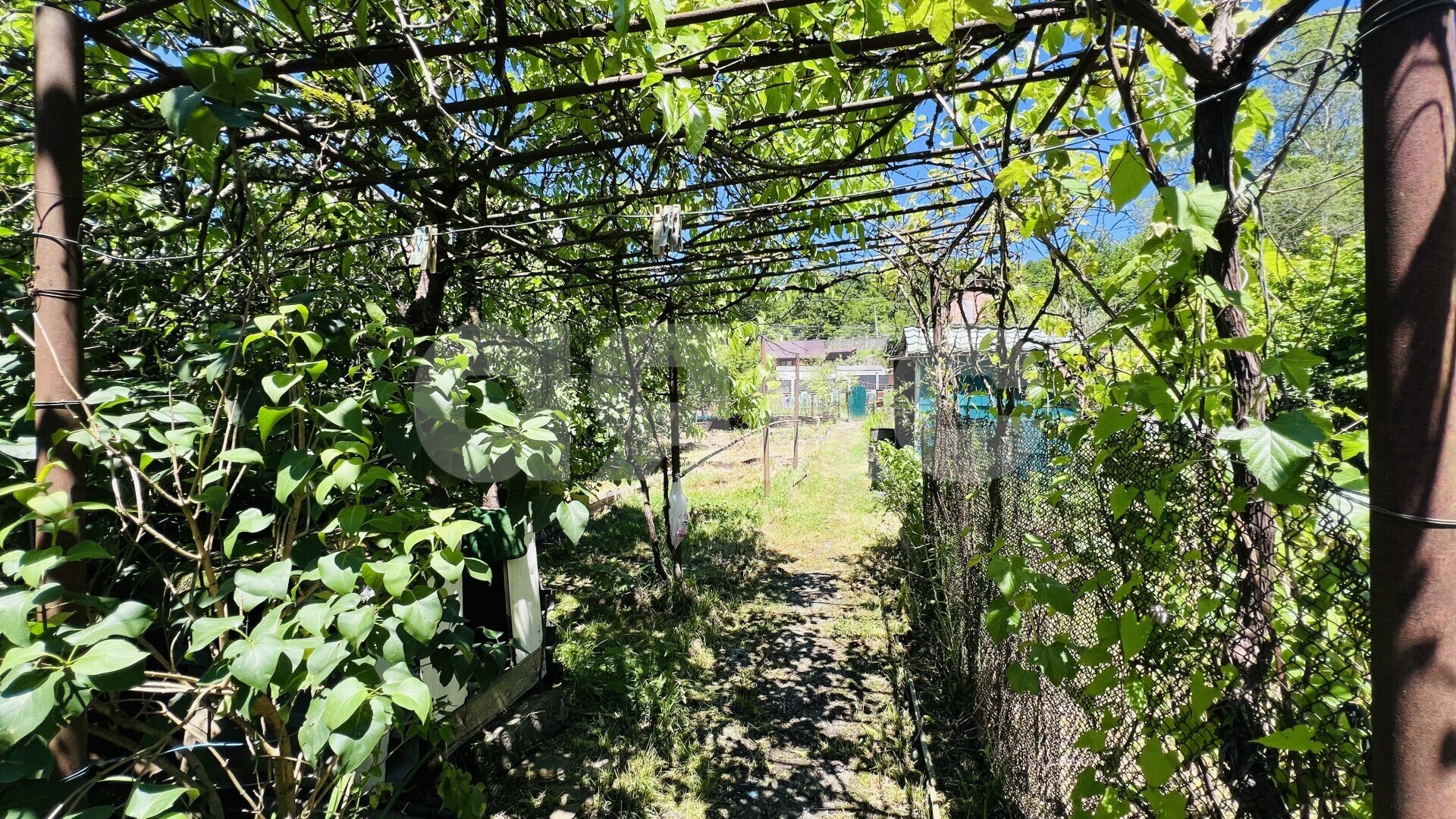Фото №6: Участок садоводство <span class="whitespace-nowrap">6 сот.</span> - Хлебороб, Адлерский, мкр. СНТ Рассвет, 9
