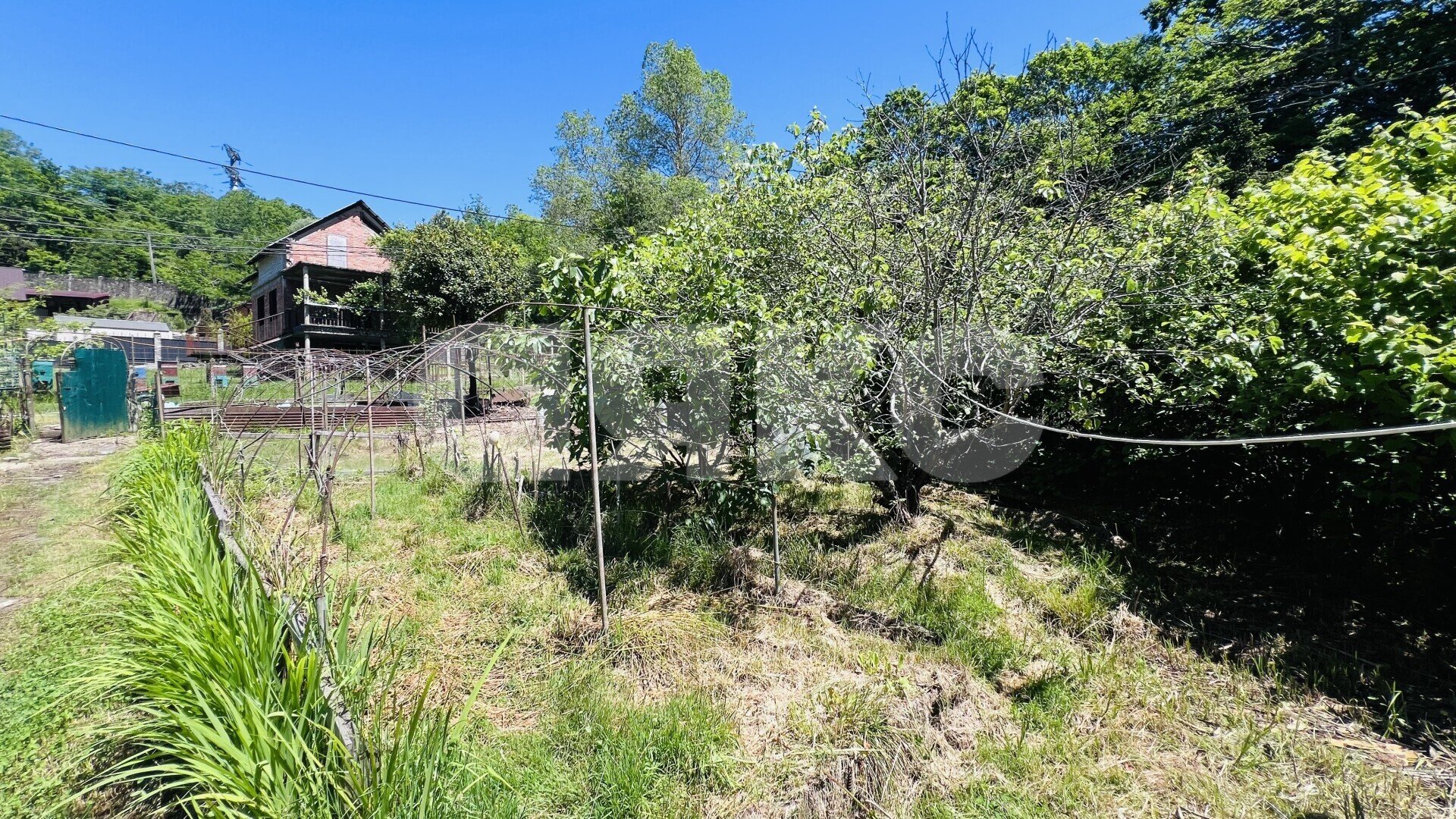 Фото №9: Участок садоводство <span class="whitespace-nowrap">6 сот.</span> - Хлебороб, Адлерский, мкр. СНТ Рассвет, 9
