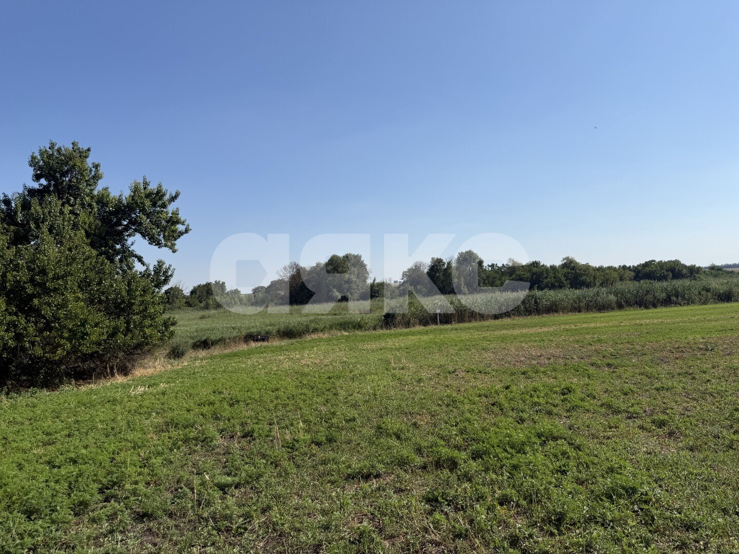 Фото №12: Личное подсобное хозяйство <span class="whitespace-nowrap">20.69 сот.</span> - Журавская, ул. Братская