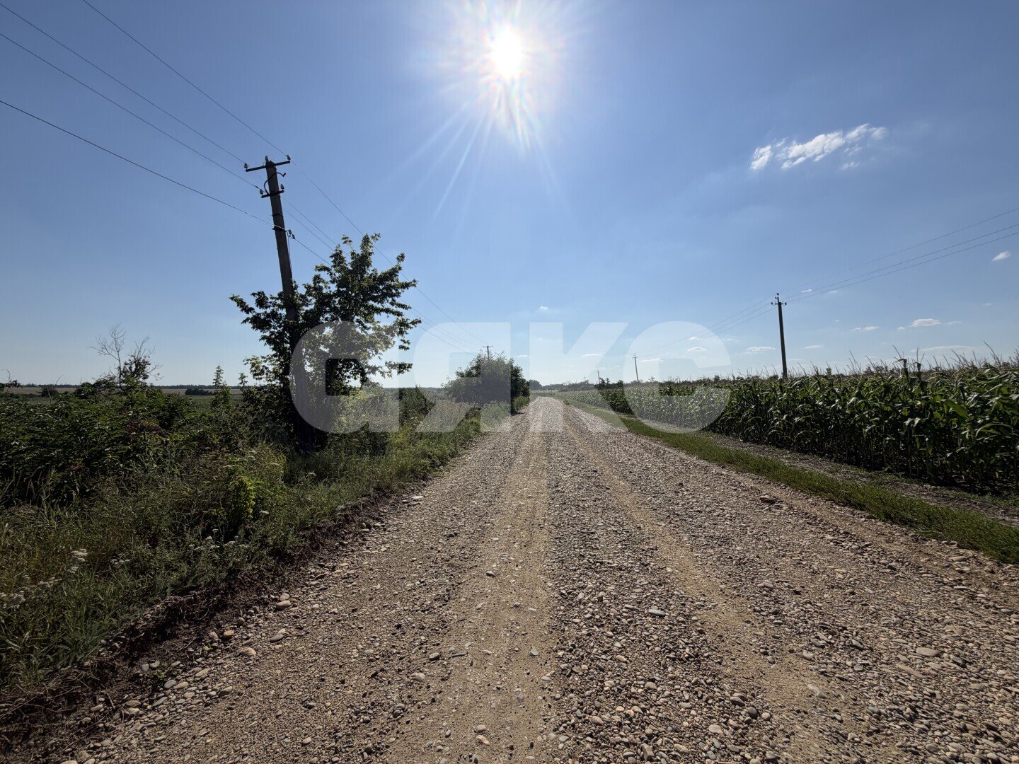 Фото №23: Личное подсобное хозяйство <span class="whitespace-nowrap">20.69 сот.</span> - Журавская, ул. Братская
