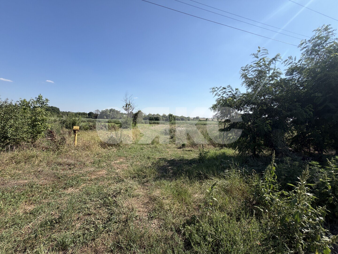 Фото №14: Личное подсобное хозяйство <span class="whitespace-nowrap">20.69 сот.</span> - Журавская, ул. Братская