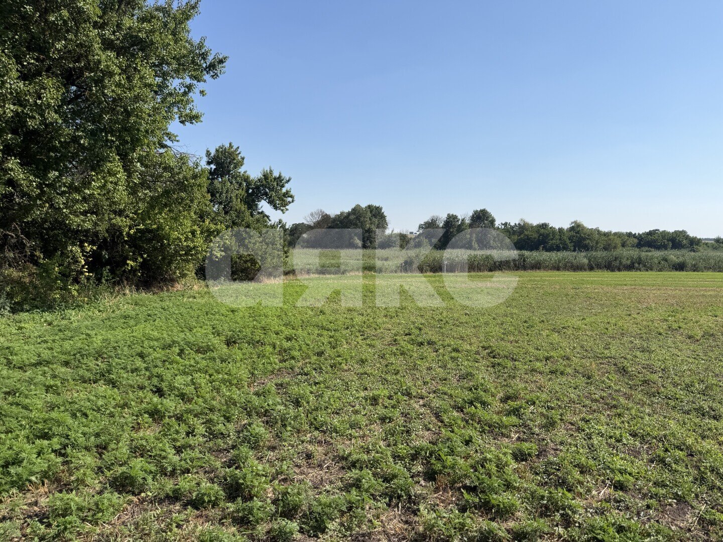 Фото №9: Личное подсобное хозяйство <span class="whitespace-nowrap">20.69 сот.</span> - Журавская, ул. Братская