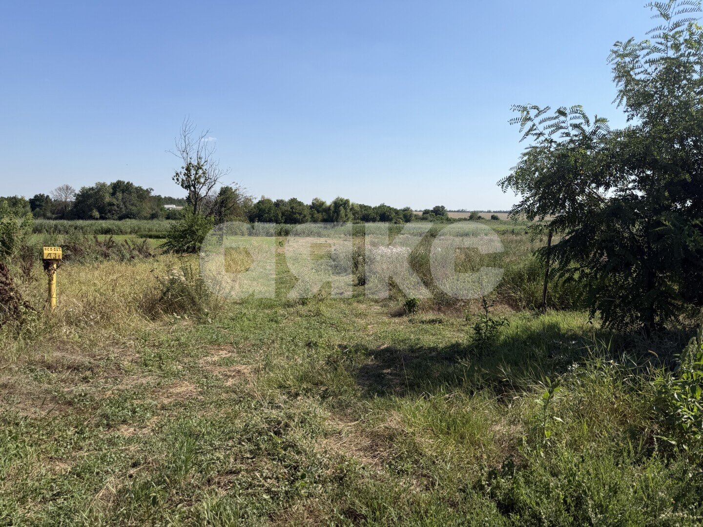 Фото №13: Личное подсобное хозяйство <span class="whitespace-nowrap">20.69 сот.</span> - Журавская, ул. Братская