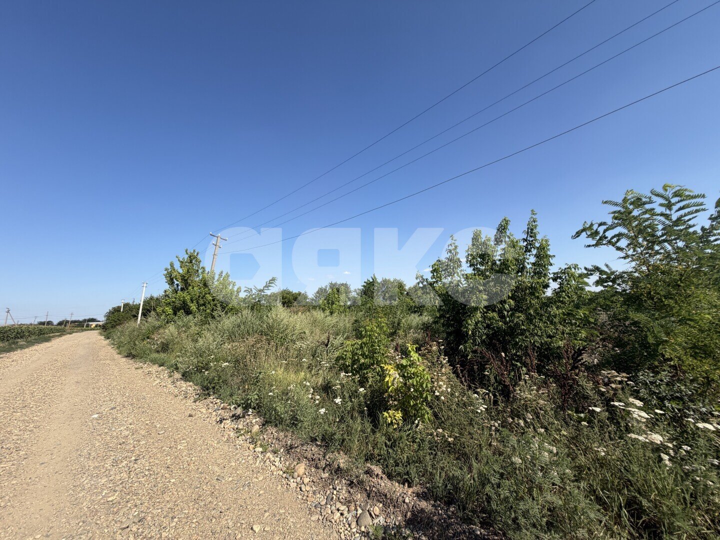 Фото №22: Личное подсобное хозяйство <span class="whitespace-nowrap">20.69 сот.</span> - Журавская, ул. Братская
