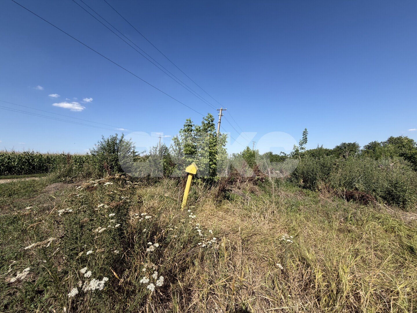 Фото №17: Личное подсобное хозяйство <span class="whitespace-nowrap">20.69 сот.</span> - Журавская, ул. Братская