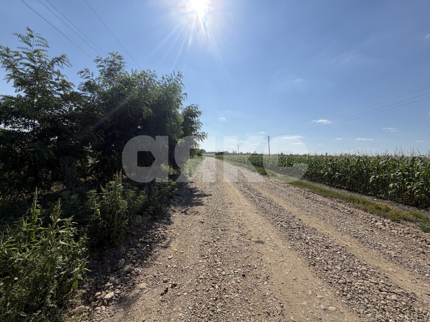Фото №15: Личное подсобное хозяйство <span class="whitespace-nowrap">20.69 сот.</span> - Журавская, ул. Братская