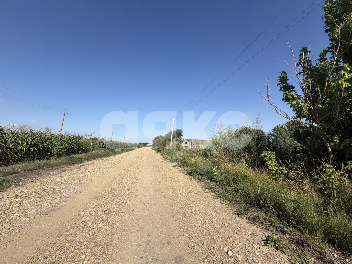Фото №24: Личное подсобное хозяйство <span class="whitespace-nowrap">20.69 сот.</span> - Журавская, ул. Братская