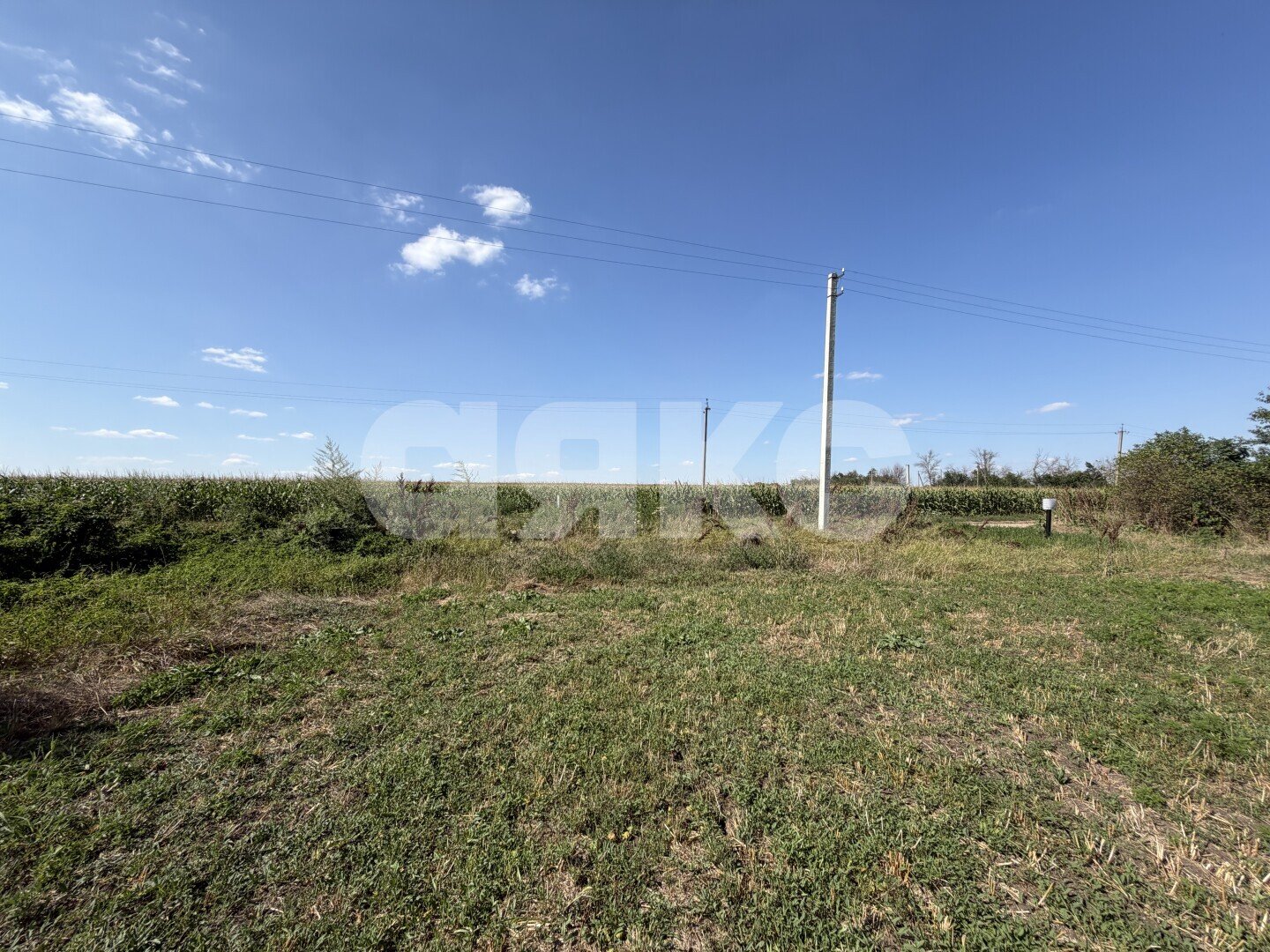 Фото №7: Личное подсобное хозяйство <span class="whitespace-nowrap">20.69 сот.</span> - Журавская, ул. Братская