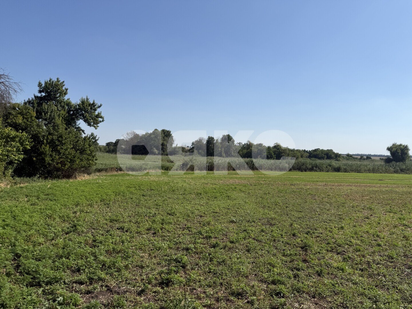 Фото №10: Личное подсобное хозяйство <span class="whitespace-nowrap">20.69 сот.</span> - Журавская, ул. Братская