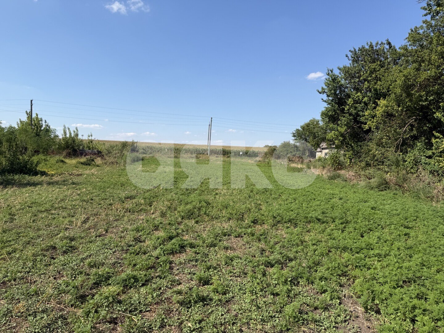 Фото №11: Личное подсобное хозяйство <span class="whitespace-nowrap">20.69 сот.</span> - Журавская, ул. Братская