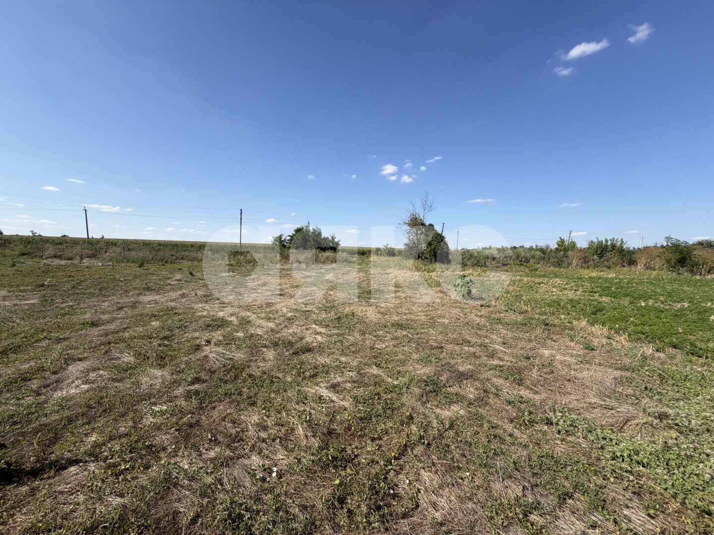 Фото №18: Личное подсобное хозяйство <span class="whitespace-nowrap">20.69 сот.</span> - Журавская, ул. Братская