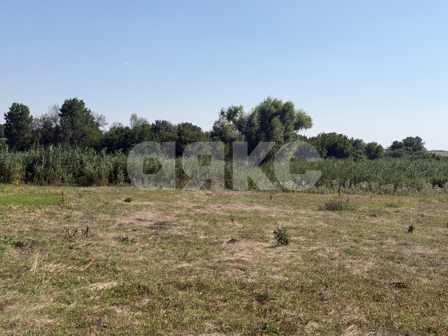 Фото №20: Личное подсобное хозяйство <span class="whitespace-nowrap">20.69 сот.</span> - Журавская, ул. Братская