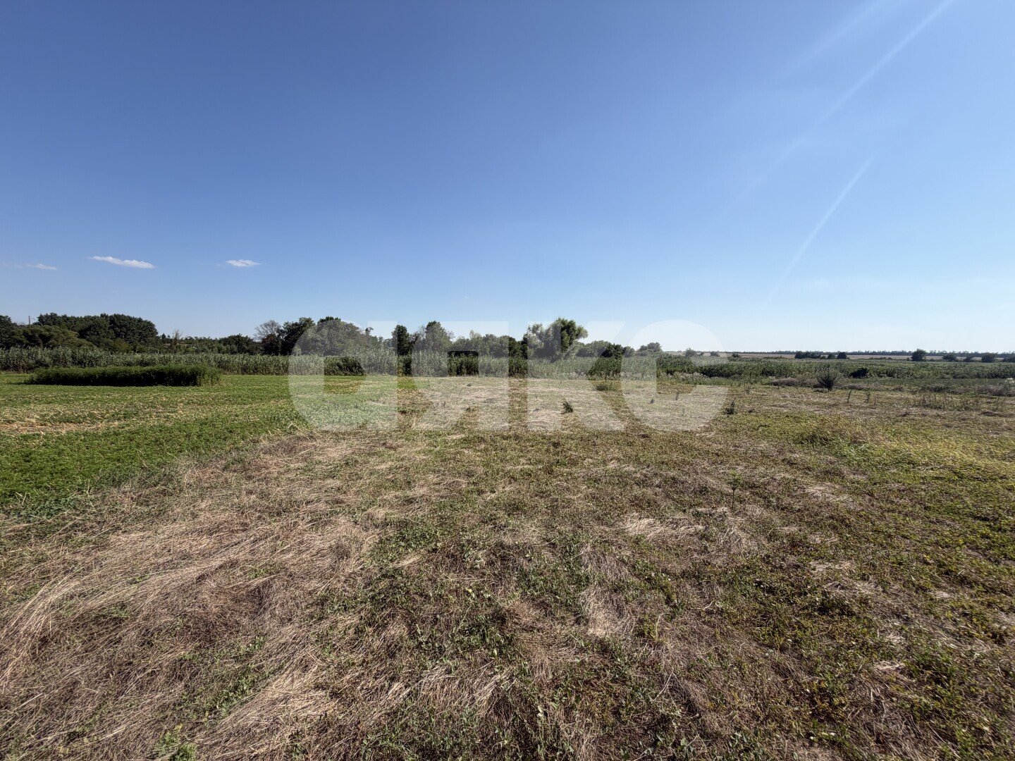 Фото №19: Личное подсобное хозяйство <span class="whitespace-nowrap">20.69 сот.</span> - Журавская, ул. Братская
