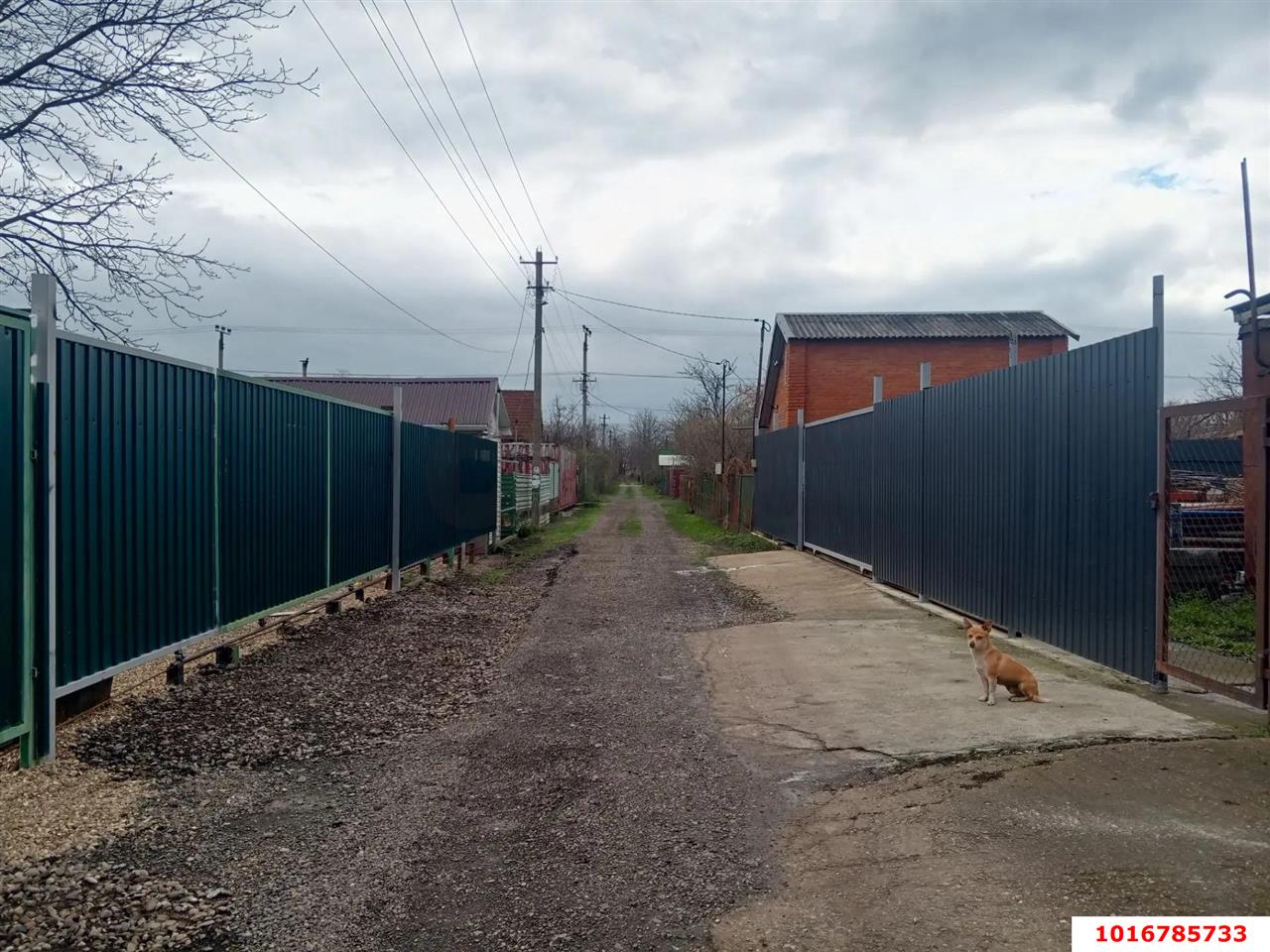 Фото №4: Личное подсобное хозяйство <span class="whitespace-nowrap">6.11 сот.</span> - Октябрьский, Прикубанский внутригородской округ, мкр. СНТ ПО Краснодарсельмаш, ул. Сливовая