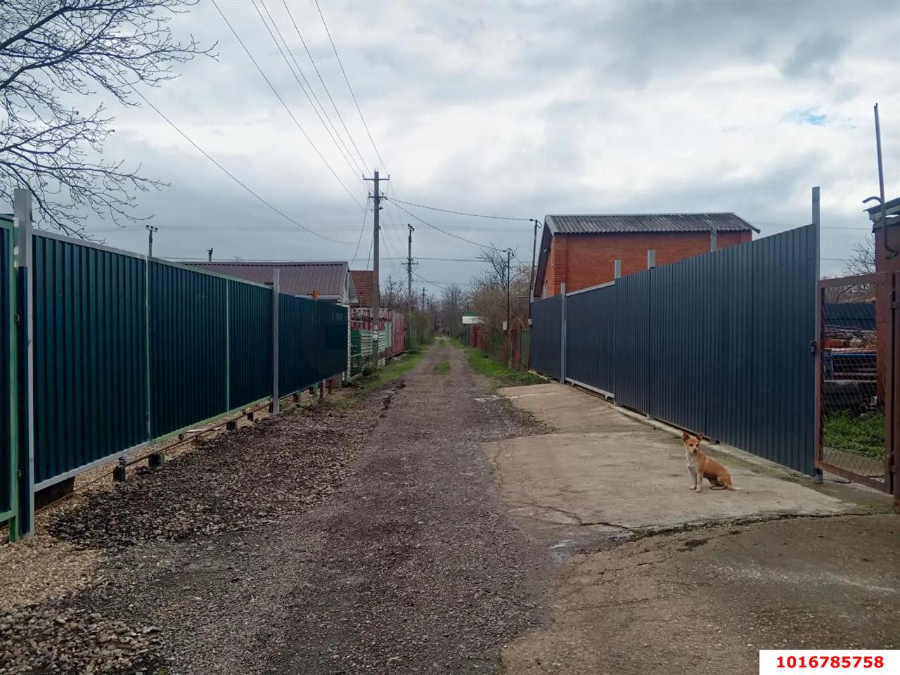 Фото №6: Личное подсобное хозяйство <span class="whitespace-nowrap">5.6 сот.</span> - Октябрьский, Прикубанский внутригородской округ, мкр. СНТ ПО Краснодарсельмаш, ул. Сливовая, 29