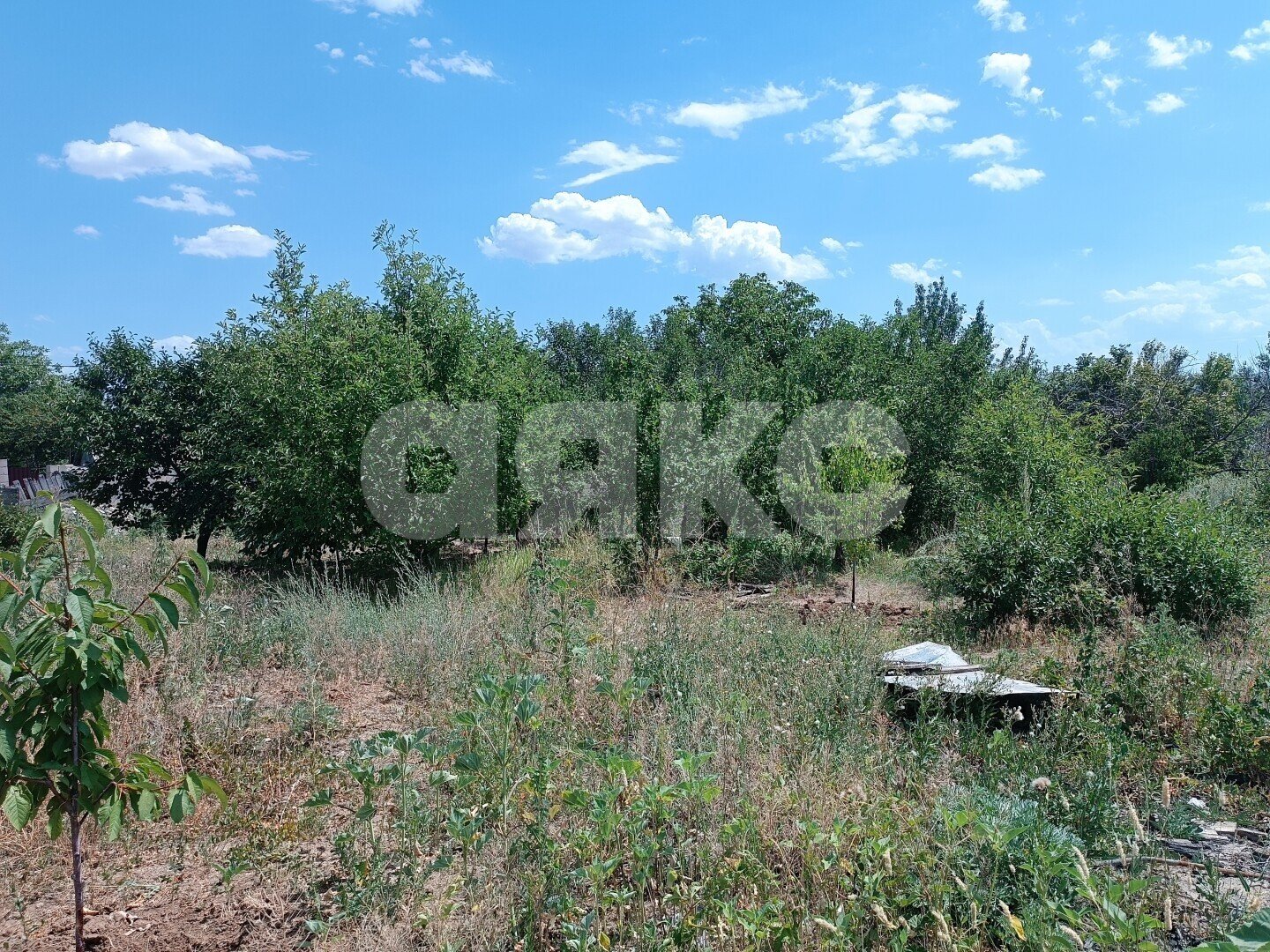 Фото №3: Участок садоводство <span class="whitespace-nowrap">6 сот.</span> - Волгоград, Краснооктябрьский, мкр. СНТ Транспортник