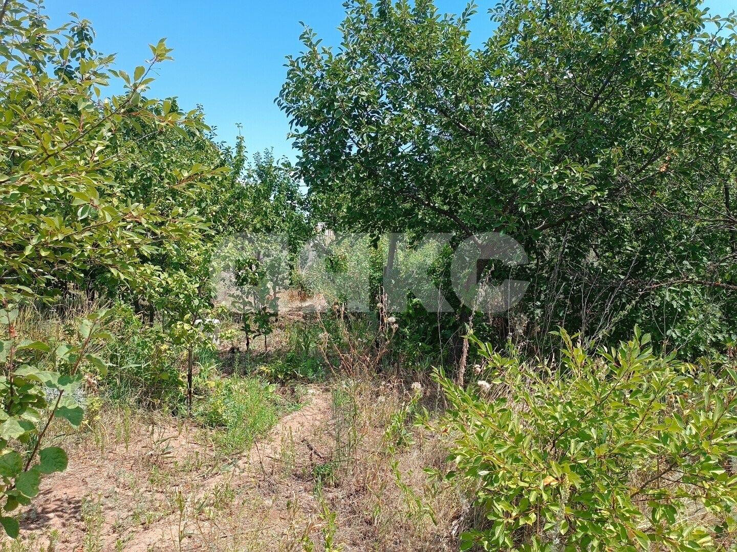 Фото №6: Участок садоводство <span class="whitespace-nowrap">6 сот.</span> - Волгоград, Краснооктябрьский, мкр. СНТ Транспортник