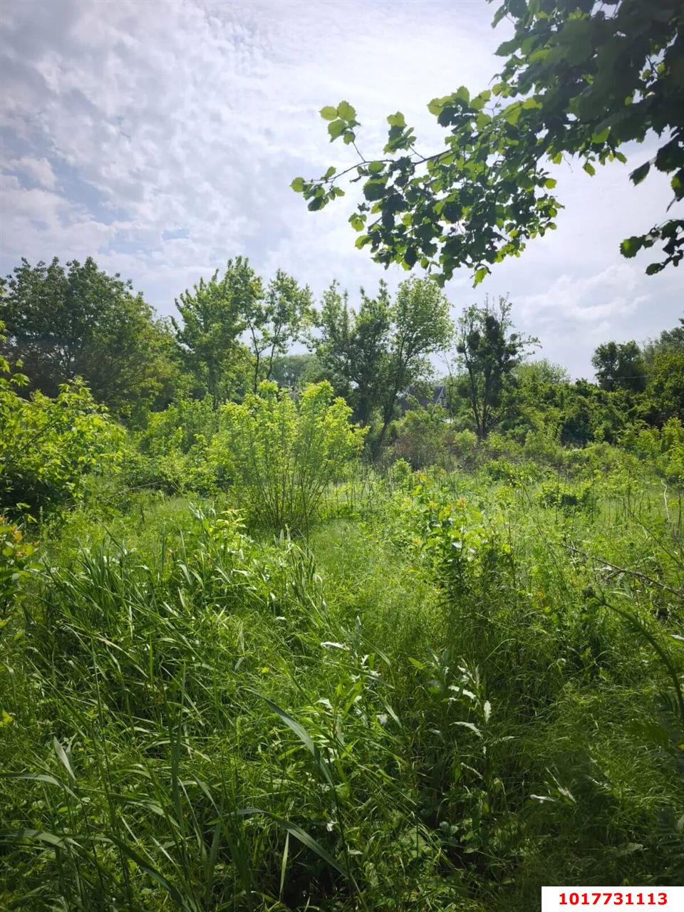 Фото №4: Личное подсобное хозяйство <span class="whitespace-nowrap">24.32 сот.</span> - Елизаветинская, Прикубанский внутригородской округ, мкр. СНТ Орбита, ул. Яблоневая