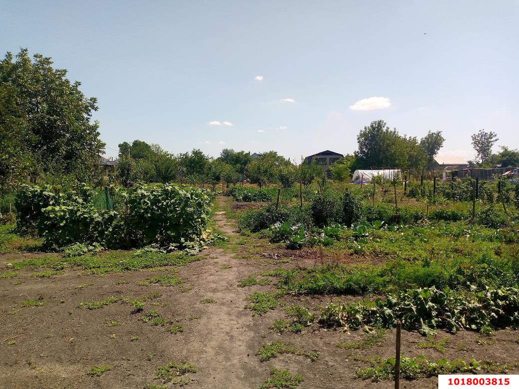 Фото №13: Дом <span class="whitespace-nowrap">51 м²</span> <span class="whitespace-nowrap">+ 24 сот.</span>, <span class="whitespace-nowrap">1 эт.</span> - Старомышастовская, ул. Садовая, 208А