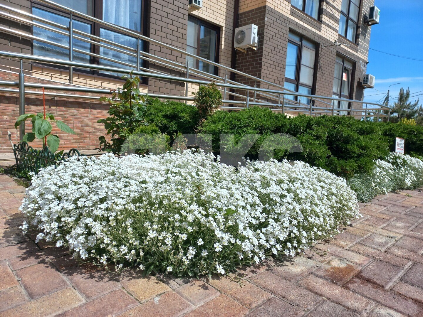 Фото №20: 3-комнатная квартира <span class="whitespace-nowrap">104 м²</span>, <span class="whitespace-nowrap">6/6 эт.</span> - Анапа, мкр. ЖК Бельведер, ул. Таманская, 121к8