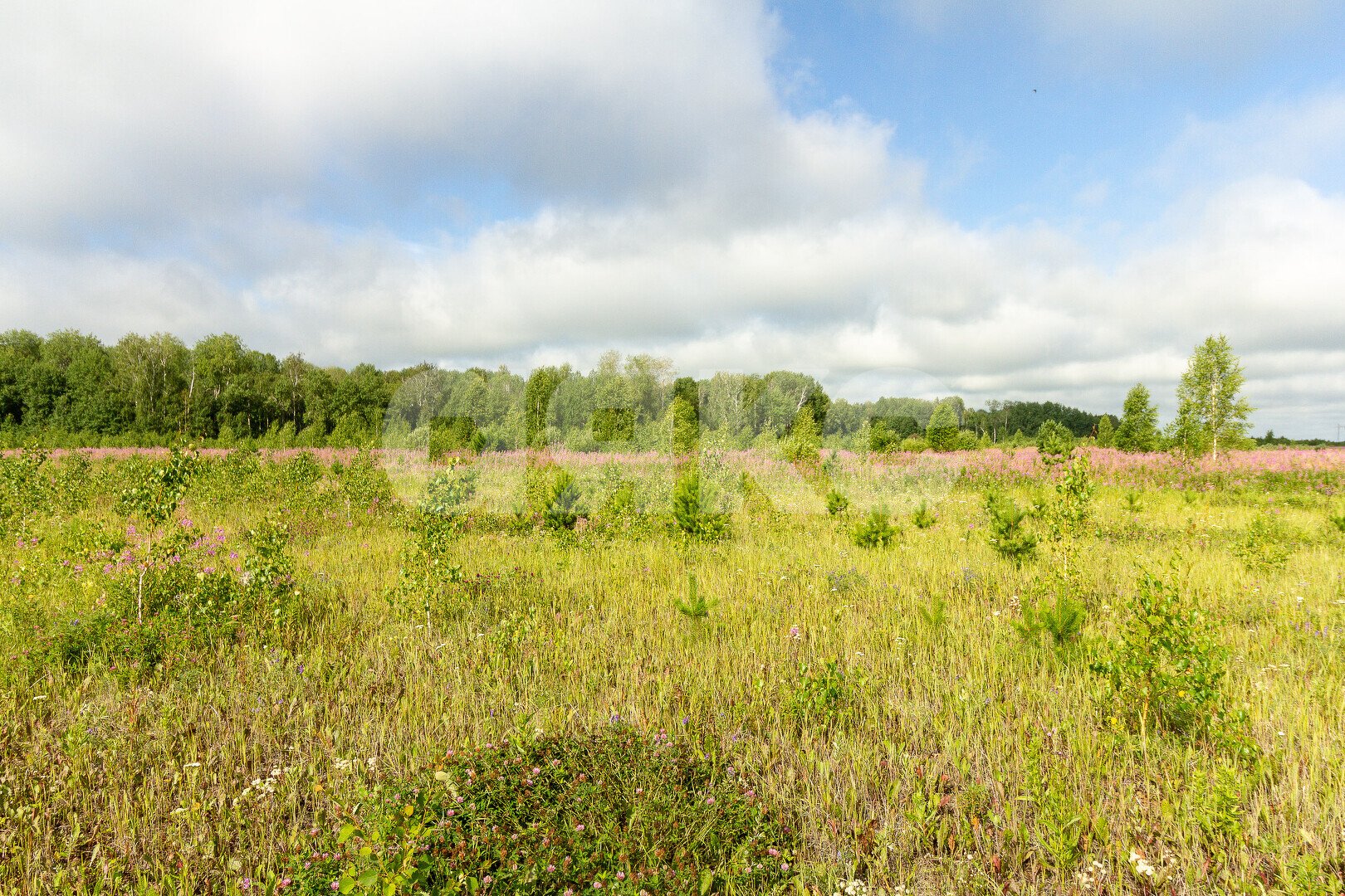 Фото №8: Земельный участок под ИЖС <span class="whitespace-nowrap">5 сот.</span> - Армавир, мкр. СТ Вимовец