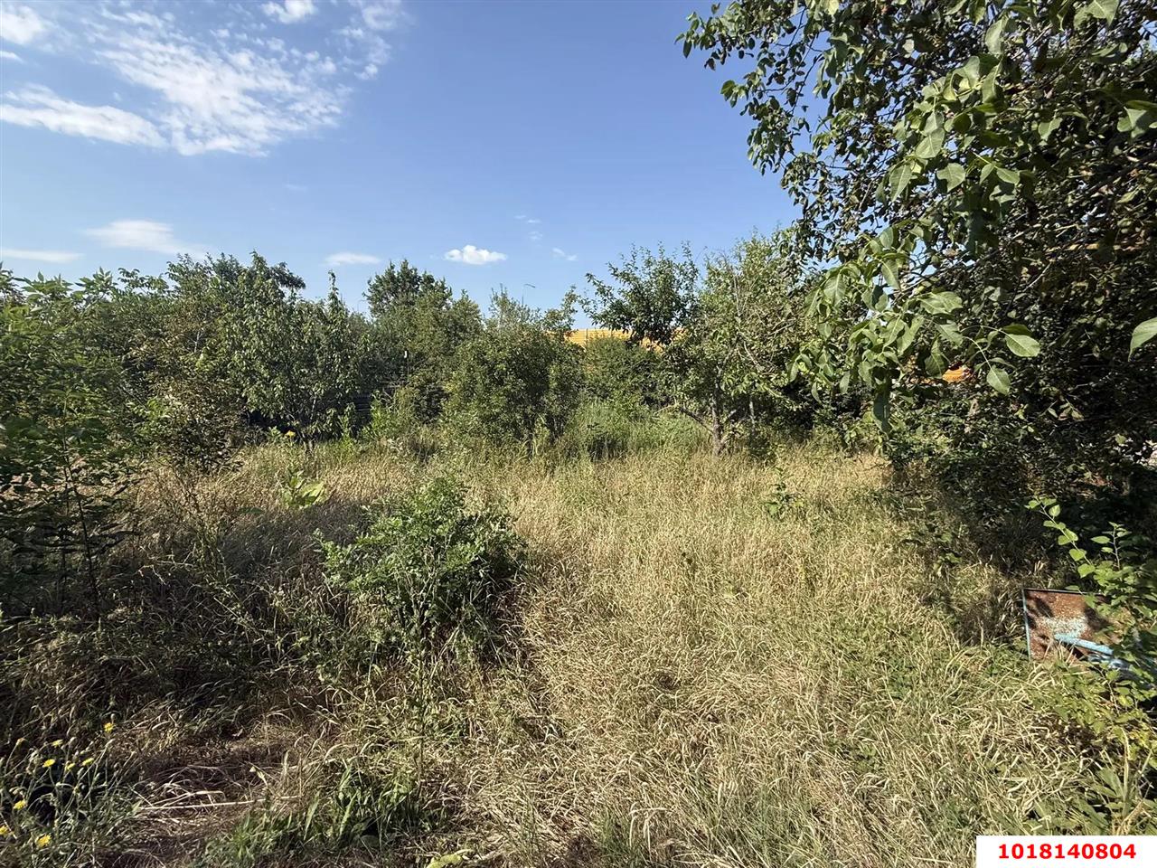 Фото №7: Личное подсобное хозяйство <span class="whitespace-nowrap">4 сот.</span> - Берёзка, мкр. Прикубанский внутригородской округ, ул. Центральная, 5