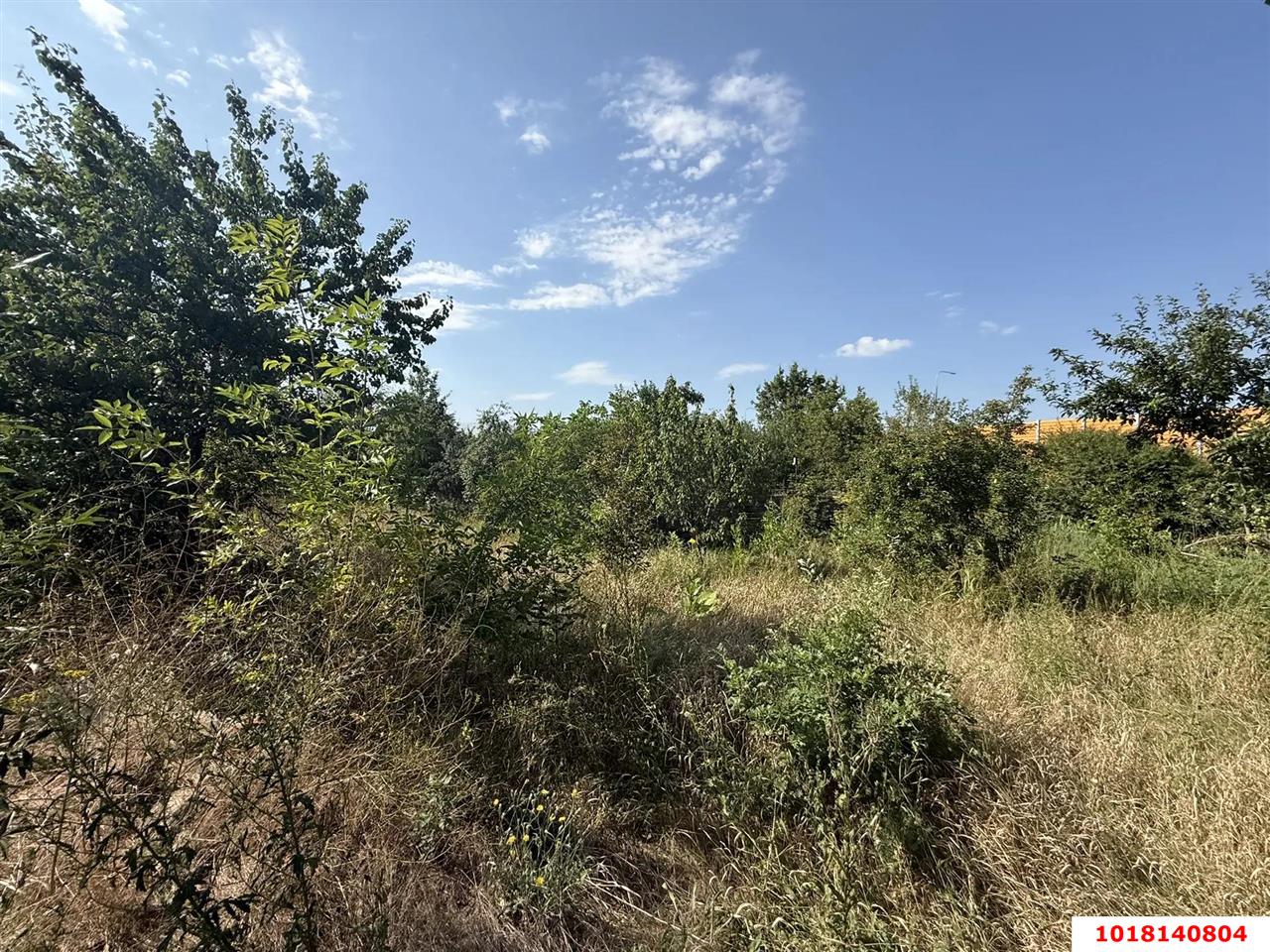 Фото №8: Личное подсобное хозяйство <span class="whitespace-nowrap">4 сот.</span> - Берёзка, мкр. Прикубанский внутригородской округ, ул. Центральная, 5