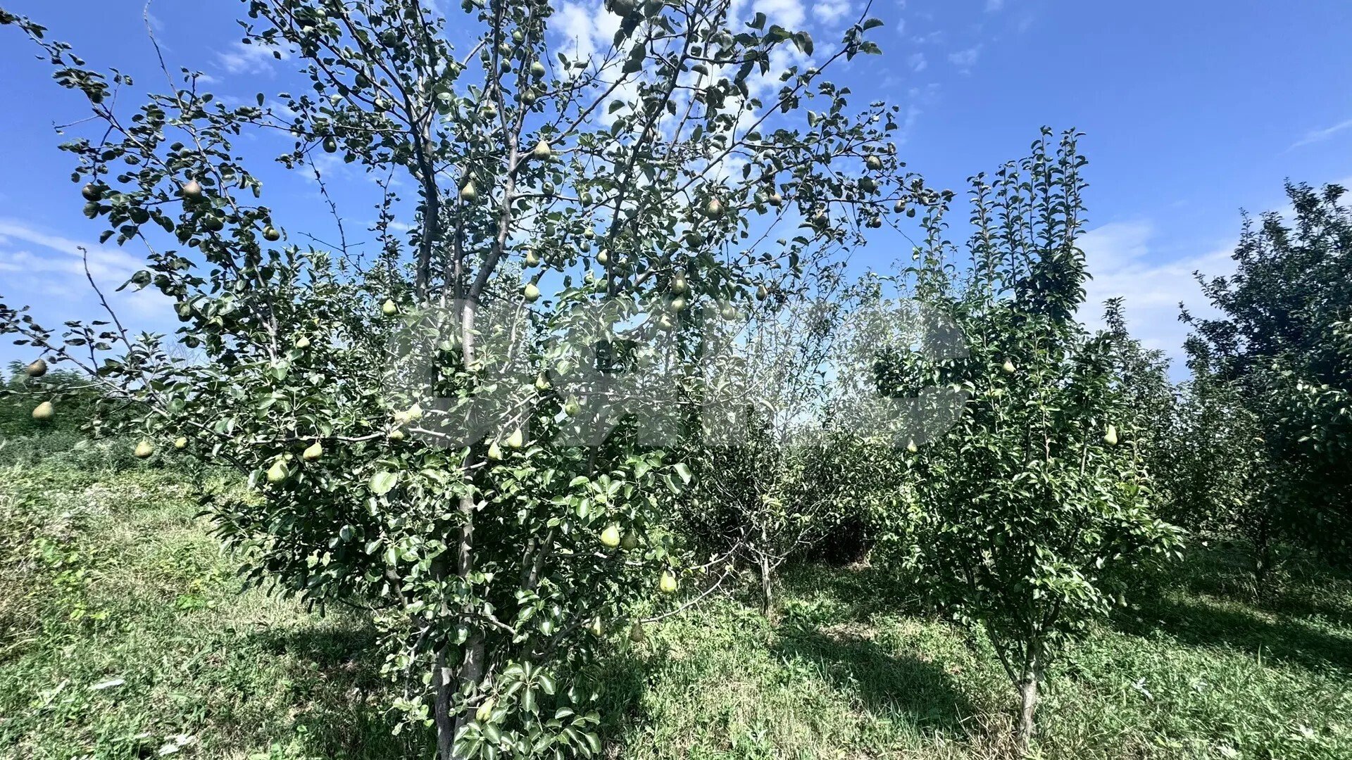 Фото №20: Дом <span class="whitespace-nowrap">92 м²</span> <span class="whitespace-nowrap">+ 39 сот.</span>, <span class="whitespace-nowrap">2 эт.</span> - Пролетарский, ул. Молодёжная, 6