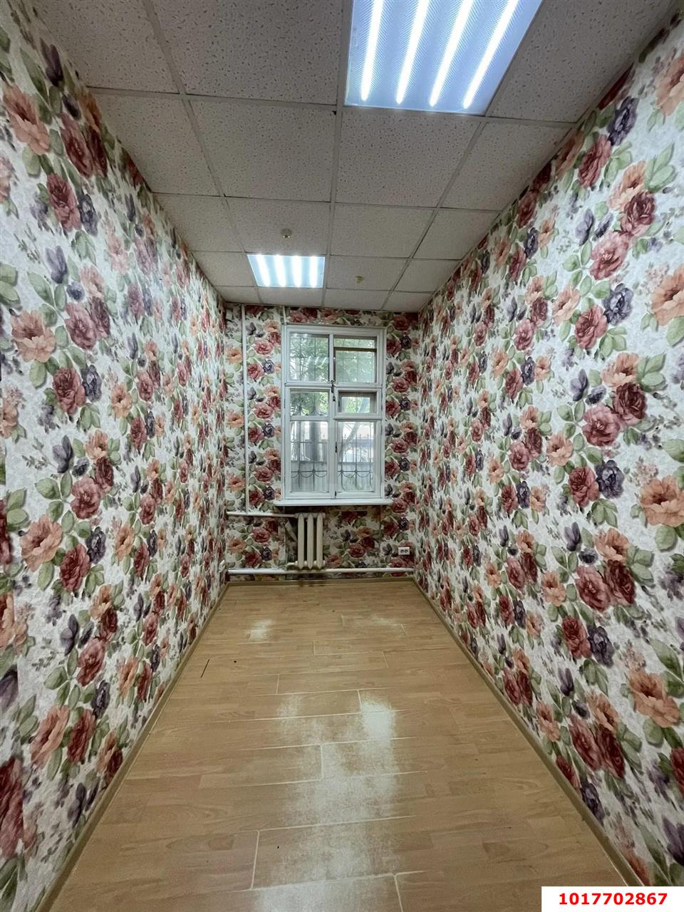 Фото №15: Офисное помещение <span class="whitespace-nowrap">172 м²</span>, <span class="whitespace-nowrap">1/1 эт.</span> - Краснодар, Центральный внутригородской округ, мкр. Центральный, ул. Орджоникидзе, 87