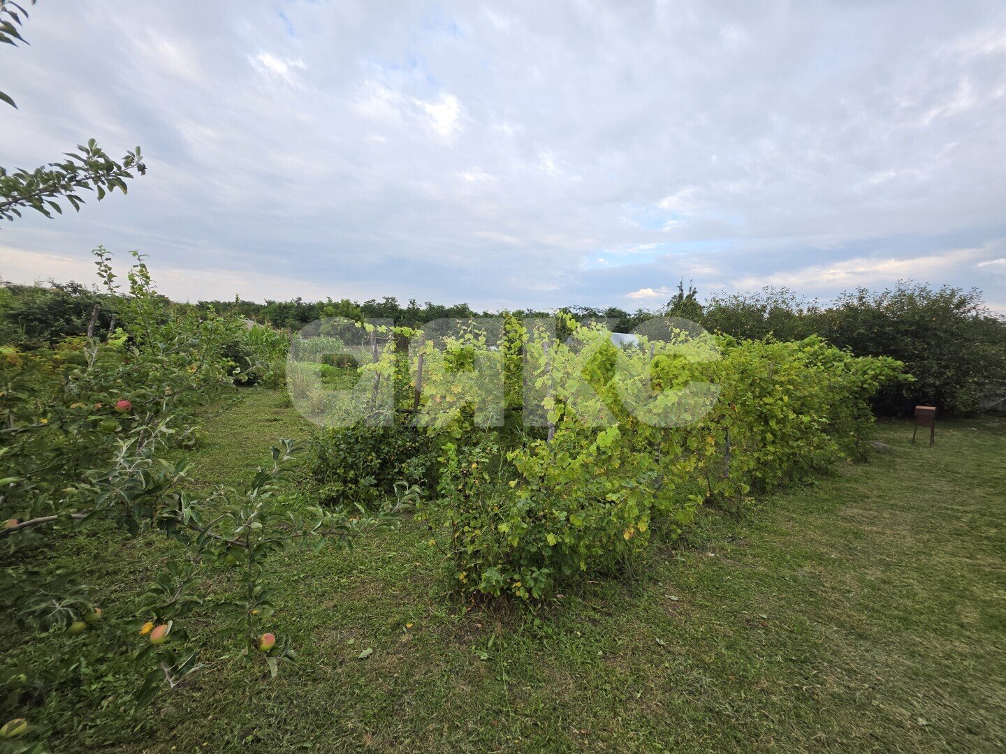 Фото №10: Дом <span class="whitespace-nowrap">38 м²</span> <span class="whitespace-nowrap">+ 40 сот.</span>, <span class="whitespace-nowrap">1 эт.</span> - Раздольный, ул. Зелёная, 13