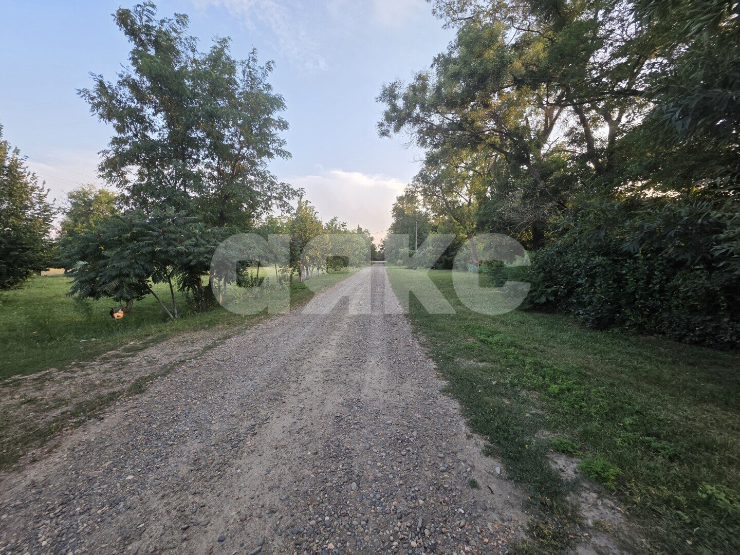 Фото №10: Дом <span class="whitespace-nowrap">38 м²</span> <span class="whitespace-nowrap">+ 12 сот.</span>, <span class="whitespace-nowrap">1 эт.</span> - Радищево, ул. Лермонтова, 98А