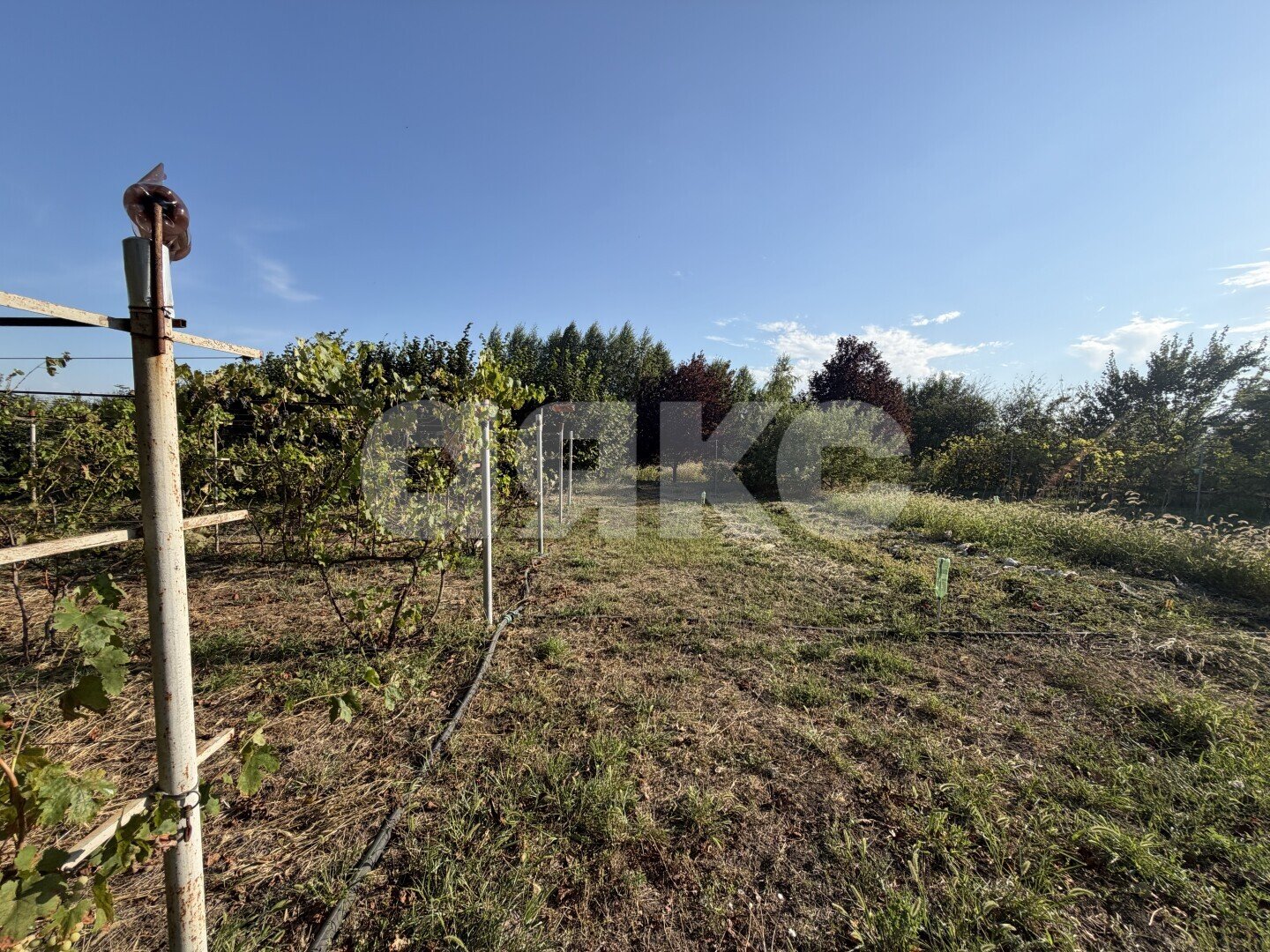 Фото №10: Дом <span class="whitespace-nowrap">236 м²</span> <span class="whitespace-nowrap">+ 30 сот.</span>, <span class="whitespace-nowrap">2 эт.</span> - Нижний, пер. Грушовый, 14