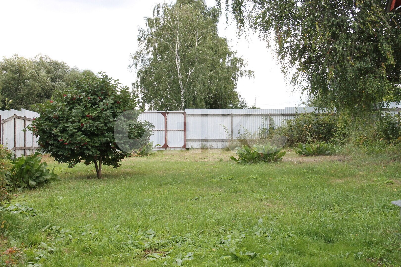 Фото №25: Личное подсобное хозяйство <span class="whitespace-nowrap">15.29 сот.</span> - Рыбаки, ул. Центральная, 62