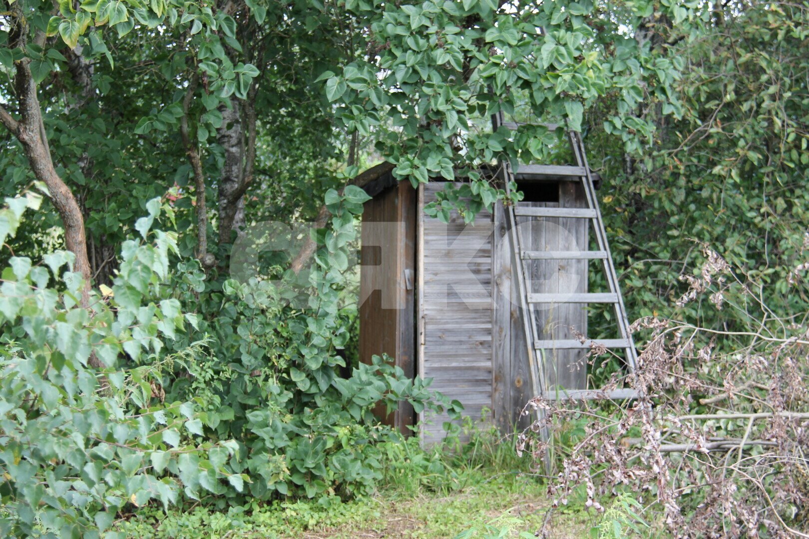 Фото №19: Личное подсобное хозяйство <span class="whitespace-nowrap">15.29 сот.</span> - Рыбаки, ул. Центральная, 62