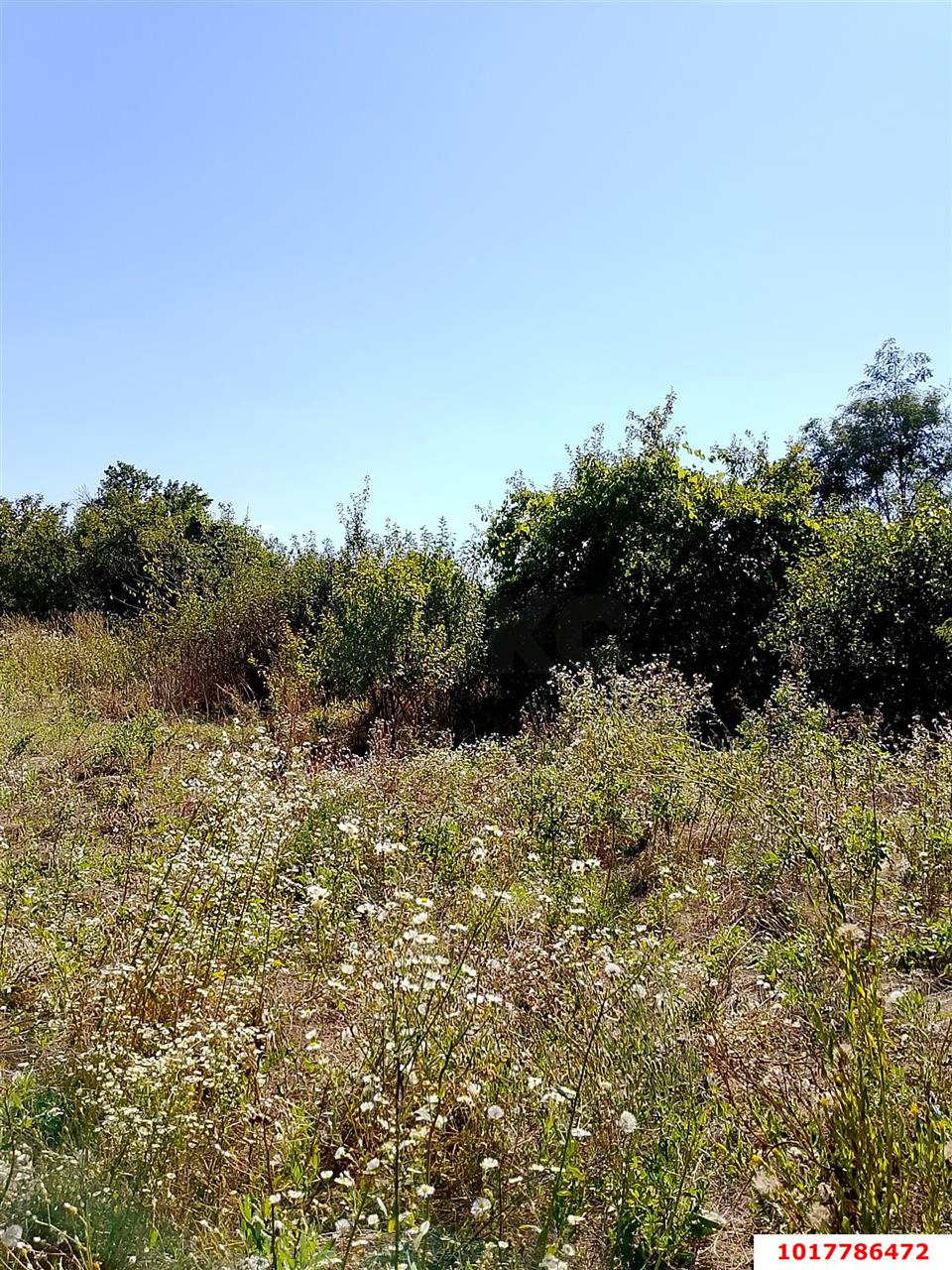 Фото №10: Дом <span class="whitespace-nowrap">71 м²</span> <span class="whitespace-nowrap">+ 15.3 сот.</span>, <span class="whitespace-nowrap">1 эт.</span> - Марьянская, ул. Краснодарская, 128