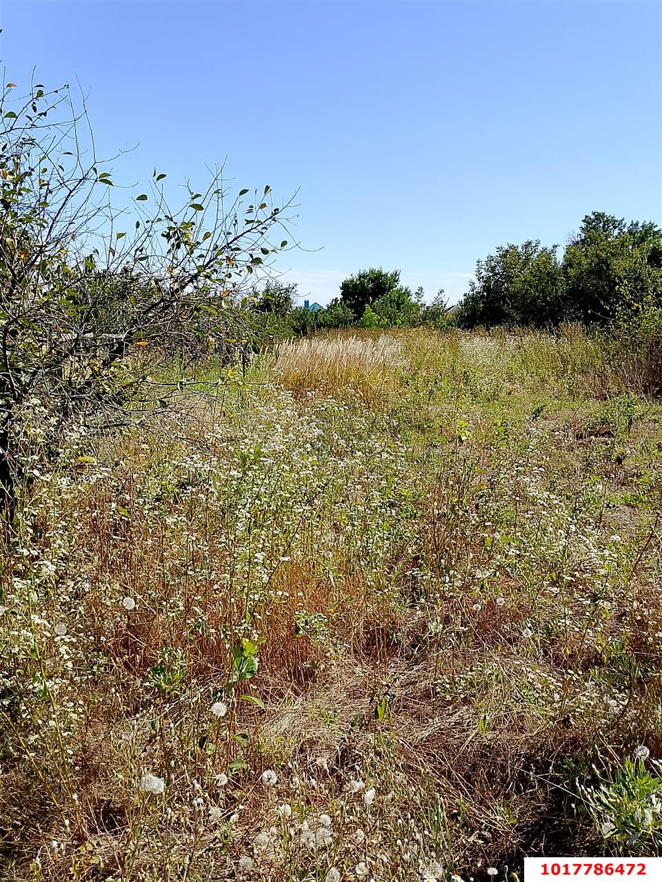 Фото №7: Дом <span class="whitespace-nowrap">71 м²</span> <span class="whitespace-nowrap">+ 15.3 сот.</span>, <span class="whitespace-nowrap">1 эт.</span> - Марьянская, ул. Краснодарская, 128