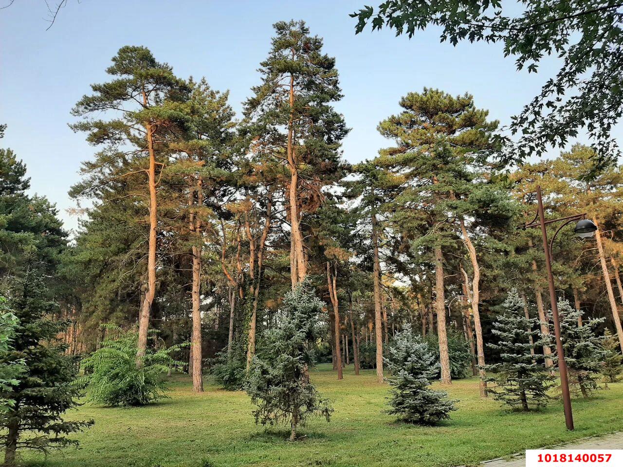 Фото №18: 2-комнатная квартира <span class="whitespace-nowrap">50 м²</span>, <span class="whitespace-nowrap">3/9 эт.</span> - Краснодар, Прикубанский внутригородской округ, мкр. Юбилейный, ул. имени Калинина, 13к48