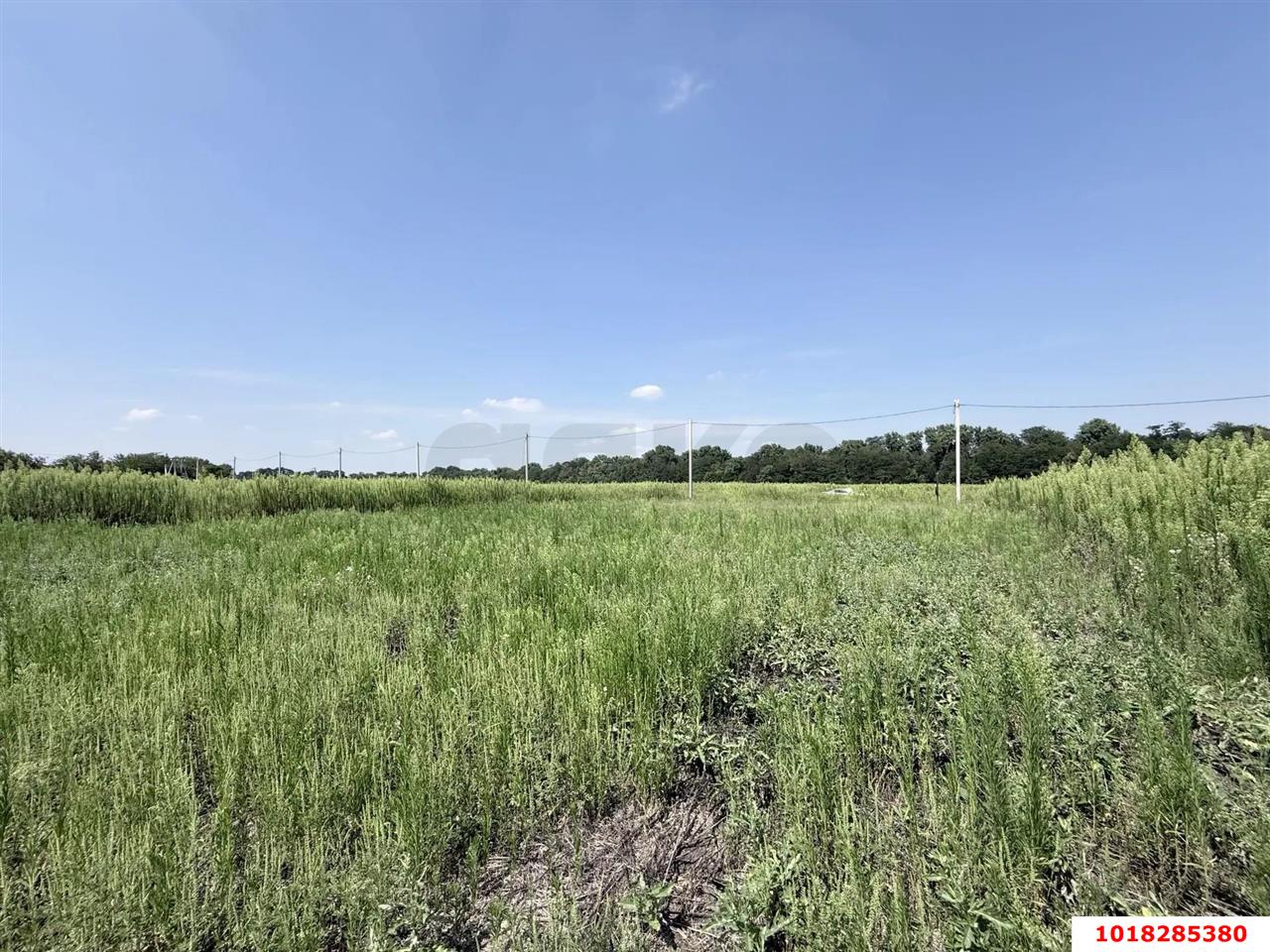 Фото №6: Земельный участок под ИЖС <span class="whitespace-nowrap">8 сот.</span> - Лазурный, мкр. Прикубанский внутригородской округ, ул. Октябрьская, 39