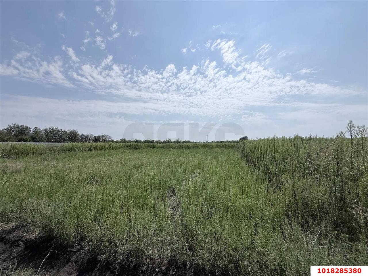 Фото №3: Земельный участок под ИЖС <span class="whitespace-nowrap">8 сот.</span> - Лазурный, мкр. Прикубанский внутригородской округ, ул. Октябрьская, 39