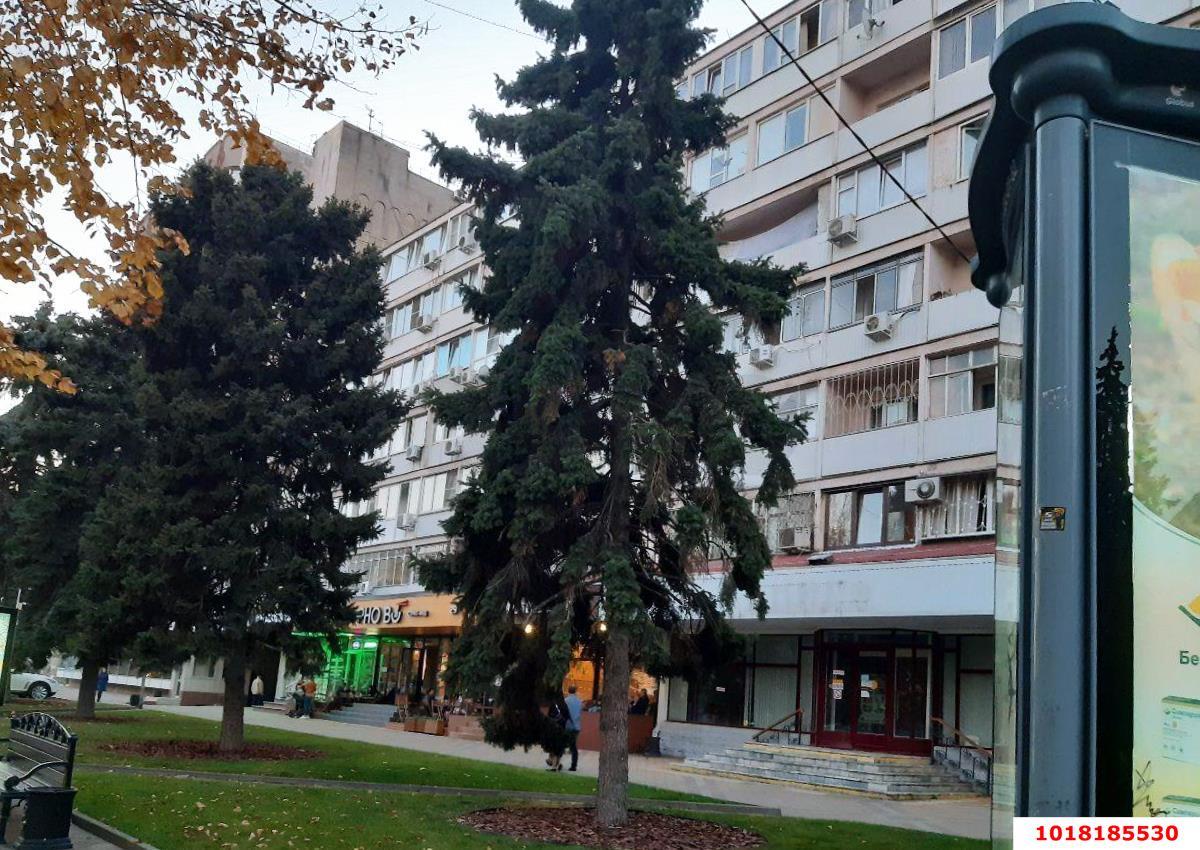 Фото №13: 1-комнатная квартира <span class="whitespace-nowrap">41 м²</span>, <span class="whitespace-nowrap">7/7 эт.</span> - Краснодар, Западный внутригородской округ, мкр. Центральный, ул. Красная, 29