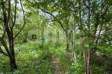 Фото №3: Земельный участок под ИЖС - Мраморное, 