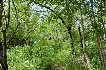 Фото №2: Земельный участок под ИЖС - Мраморное, 