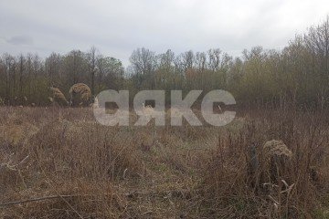 Фото №5: Земельный участок под ИЖС - Безымянное, ул. Таманская, 39