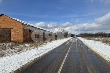 Фото №4: Коммерческая земля - Троицкие Борки, 