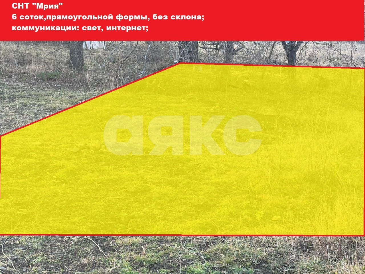 Фото №2: Участок садоводство 6 сот. - СНТ Мрия, ул. Парковая