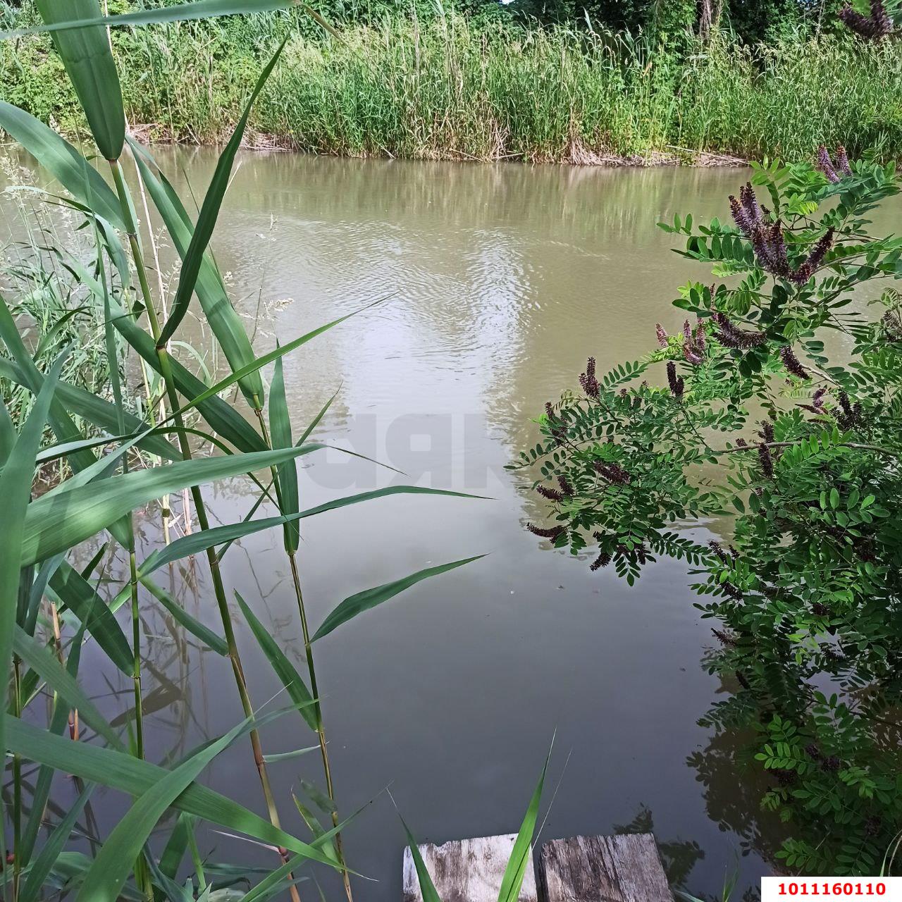 Фото №4: Дом 52 м² + 15 сот. - Черноерковская, ул. Октябрьская, 104