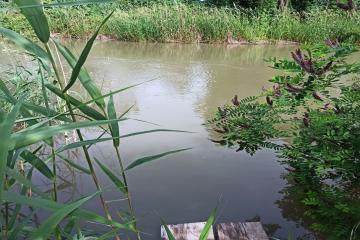 Фото №4: Дом 52 м² - Черноерковская, ул. Октябрьская, 104