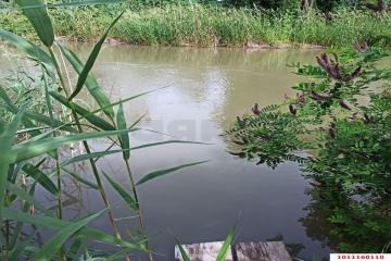 Фото №4: Дом 52 м² - Черноерковская, ул. Октябрьская, 104